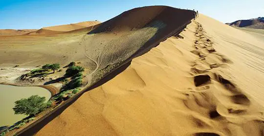 People walking across a golden sand dune, Namibia