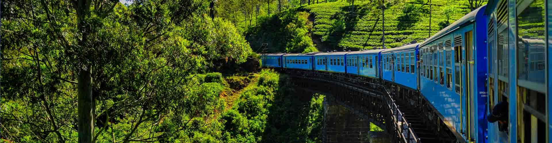 Train in Asia