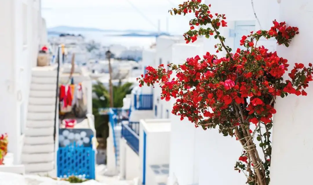 Celestyal Discovery Sponsored Post Mykonos