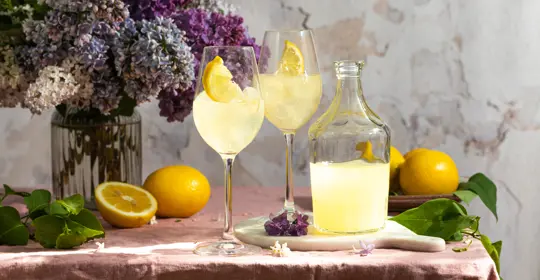 AdobeStock-Limoncello-italy-487178835.jpeg