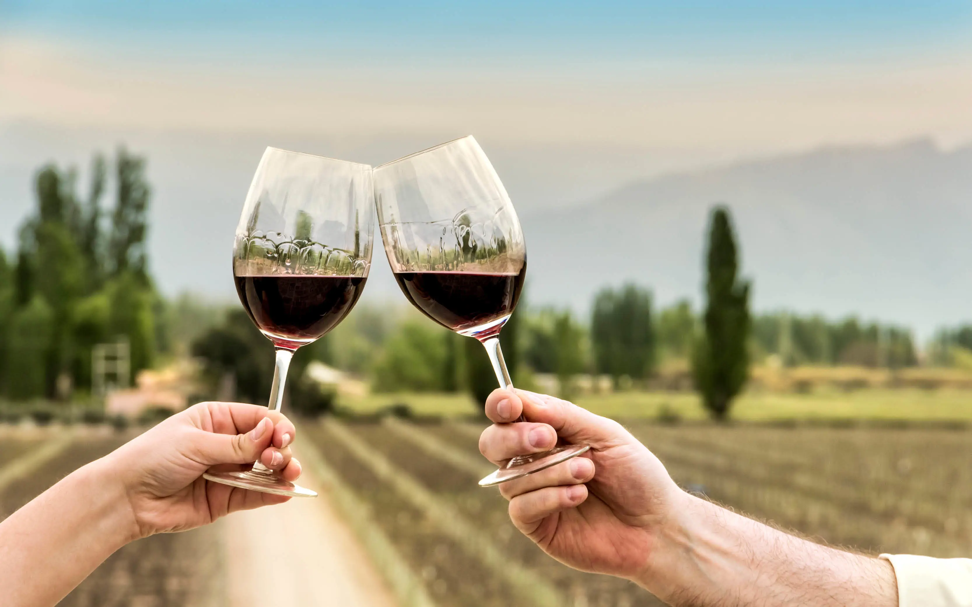Hobbies Winetasting