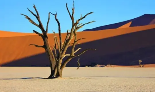 Namibia Where Is Hot In January