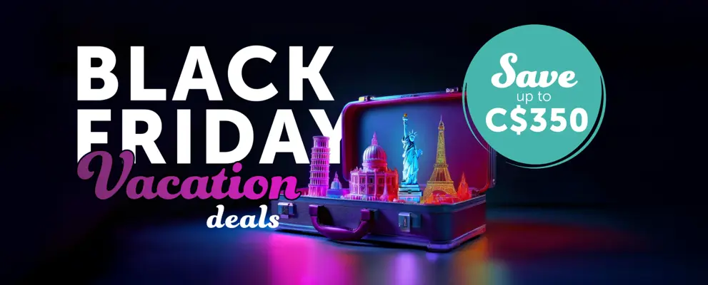 Black friday homepage banner