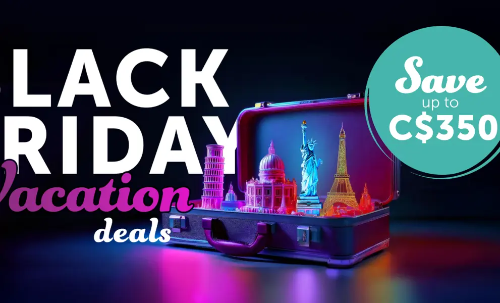 Black friday homepage banner