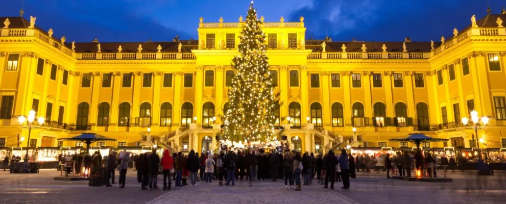 christmas tree in Vienna