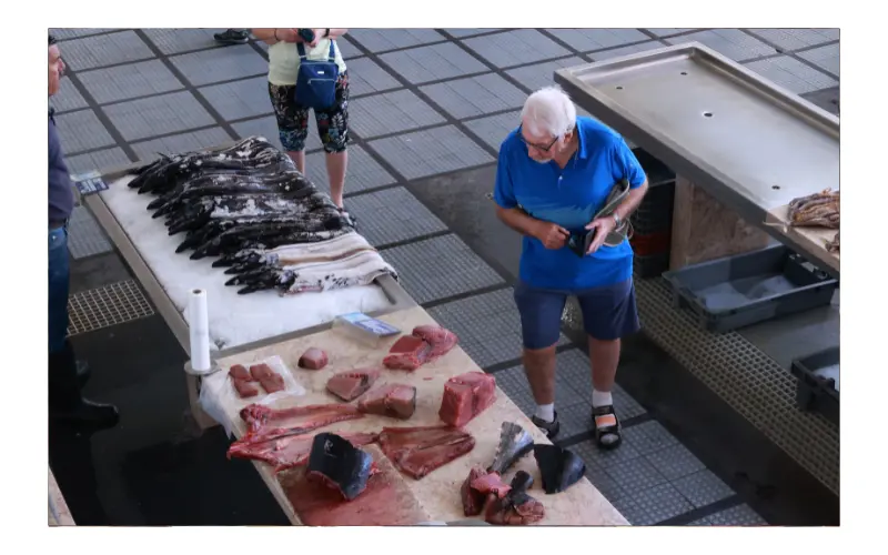 spma_fishmarket__whiteborder_800x500.png