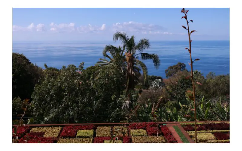 spma_garden_whiteborder_800x500.jpg