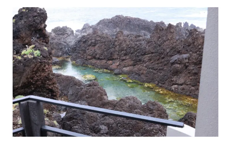 spma_portomoniz2__whiteborder_800x500.png